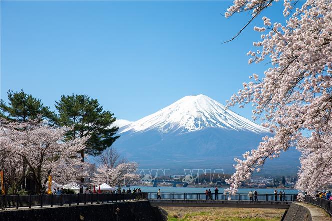 Núi Phú Sĩ hùng vĩ nhìn từ mương nước dẫn ra hồ Kawaguchi.