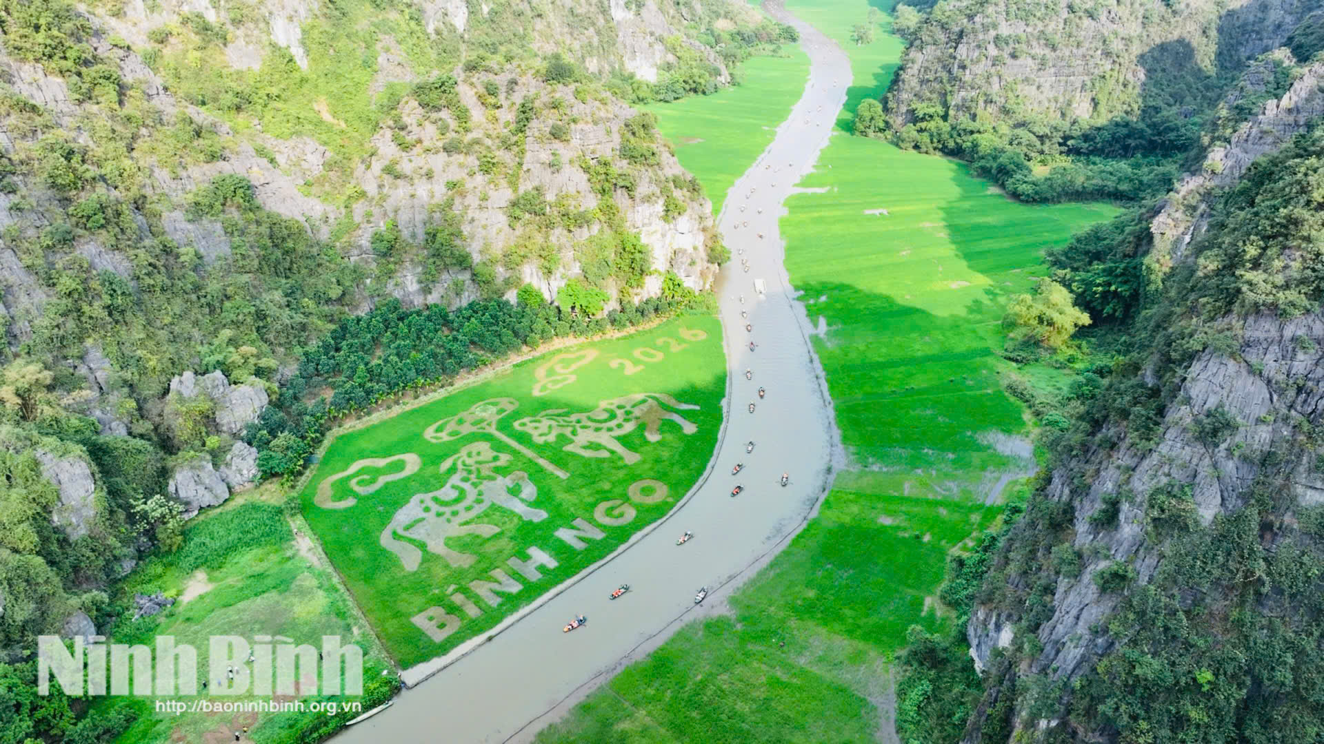 Cánh đồng Tam Cốc - điểm nhấn trong Tuần Du lịch Ninh Bình năm 2026.