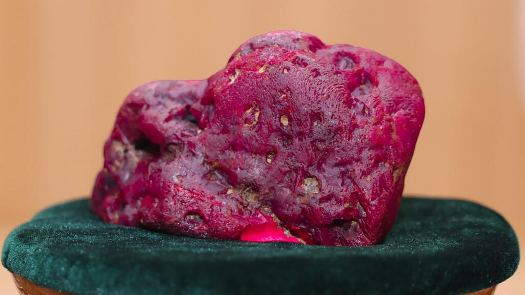 Công bố phát hiện một viên ruby khổng lồ nặng tới 11.000 carat tại khu vực mỏ đá quý Mogok, Myanmar. Ảnh: AFP