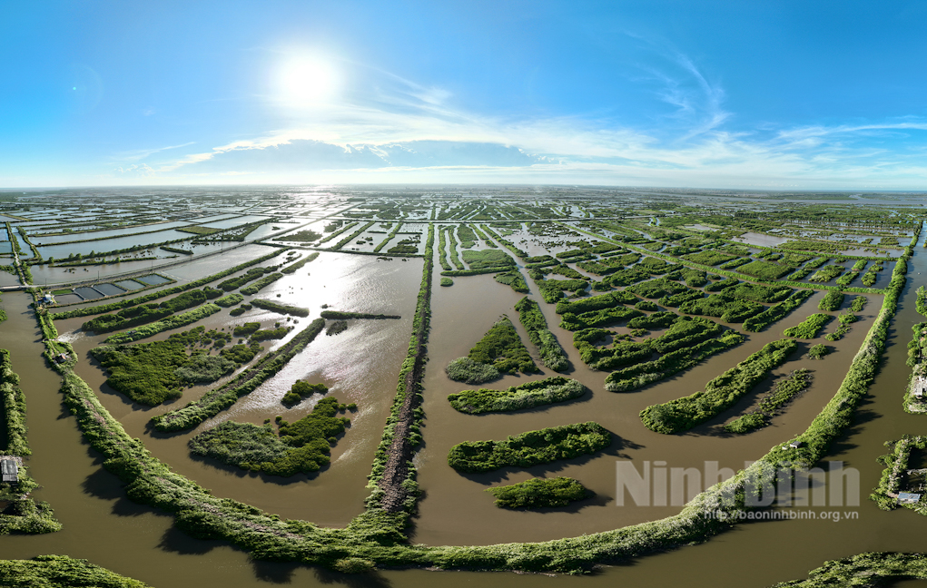 Một góc Vườn Quốc gia Xuân Thủy (Ninh Bình). Ảnh: Viết Dư